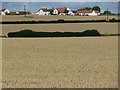 Wheat fields off Dere Street in DL1 2XY