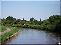 Shropshire Union Canal near Rowton in Rowton