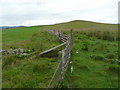 Fences near the isolated farm Corb in PH10 7JX