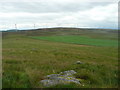 Fields and moorland near Corb in PH10 7JX