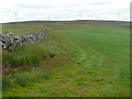Dry stone wall and wind turbines in PH10 7JX
