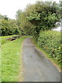 Canal path approaches Bottom Lock railings in Llantarnam Community