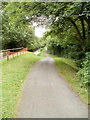Canal path alongside former Tredegar Lock in Llantarnam Community