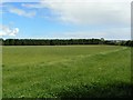 Grassy field in KY15 7JH