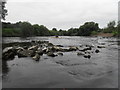 Ancient Fish Weir - River Severn in SY4 4TB