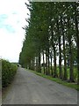 Tree-lined farm road in KY7 6QQ