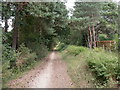 Ashley Heath, trailway in BH24 2EJ