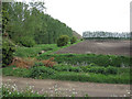 Field by the River Lark in IP28 8QS
