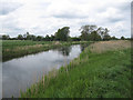 River Lark in CB7 5SW