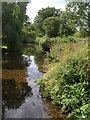 River Bourne in SP4 6LF