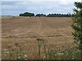 Harvested field by the A345 in SP4 6AZ