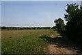 Footpath to Wordwell Church in IP28 6UD