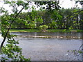 River Dee at Milton of Crathes in AB31 5JL