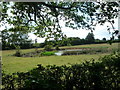 Pond at T junction in HP23 6HS