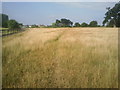 Footpath near Home Close Farm, North Cray in DA14 5EX