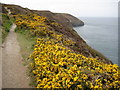 Coast path above Polberra Cove in TR5 0SR