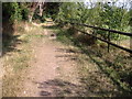 Footpath towards Nutbourne in PO10 8JT