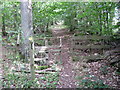 Footpath by Early Bridge Copse in RG26 5EN