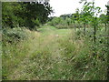 Footpath towards Latchmere Green in RG26 5FL