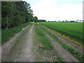 Bridleway to Mildenhall Road in IP28 8HT