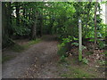 Waymarker for the Serpent Trail in Fittleworth Wood in RH20 1JW
