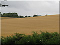 Tractor in stubble field near Fitzleroi Farm in RH20 1JW