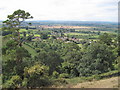 Sutton Montis from Cadbury Castle in BA22 7HG