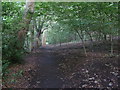 Forest path, Easter  Craiglockhart in EH14 1JP