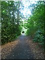 Forest Path, Easter Craiglockhart in EH10 5XA
