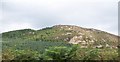 Forests on the upper western slopes of Garn Boduan in LL53 6HB