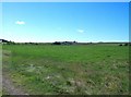 The view across farmland towards Bryn Odol Bach in LL53 8NA