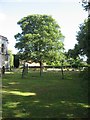 The Churchyard of Escrick Parish Church in YO19 6LG