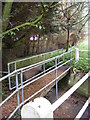 Footbridge over The River Fromus in IP17 2PU