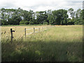 Paddock fence by Fernhill Lane in CV8 1NU