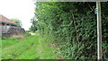 Footpath from The Street to Priory Farm in Darsham
