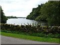 Mochrum Loch in DG8 9RS
