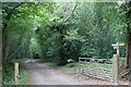 Footpath at Codmore Hill in Pulborough