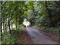 Minor road through Laysike Wood in YO60 7HE