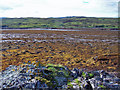 Across Loch Eishort - low tide in IV43 8QZ