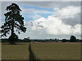 Farmland near West Ashton (1) in BA14 6AT