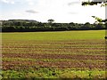 Arable land, Stoke Prior in HR6 0NB