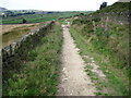 Footpath, Dunnock Road in HD9 5NQ