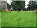 St. Mary, Framsden: churchyard (1) in Framsden