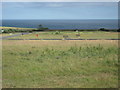 Play area on site of former Easington Colliery in Easington Colliery