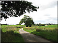 The lane past Hales church in NR14 6NP
