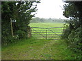 Public footpath on the edge of Carne Down in PL15 7SG