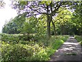 The coach road at Birchall's Wood in L39 0HX