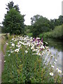 Beside the River Test, Whitchurch in RG28 7HS