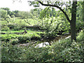 River Blythe below unclassified county road in Barston