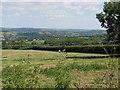 View from Smitham Hill in BS40 6BZ